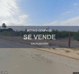Pis a Torre-Pacheco