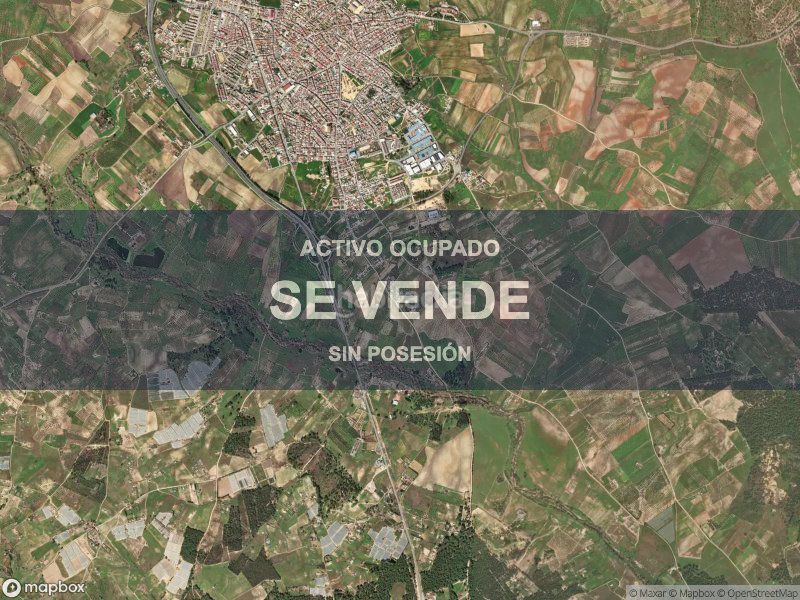 Foto 8b044989-f09a-4356-aea7-e1db07db6e8b. Pis a Almonte Almonte