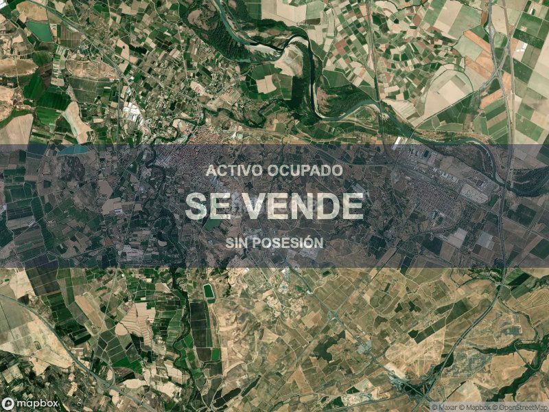 Foto ce7f9558-b930-4bfa-b046-03f86516f418. Pis a Alfaro