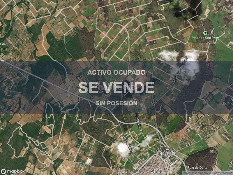 Foto d1336113-29eb-4df3-8cba-7eda025b2fa4. Pis a Llubí