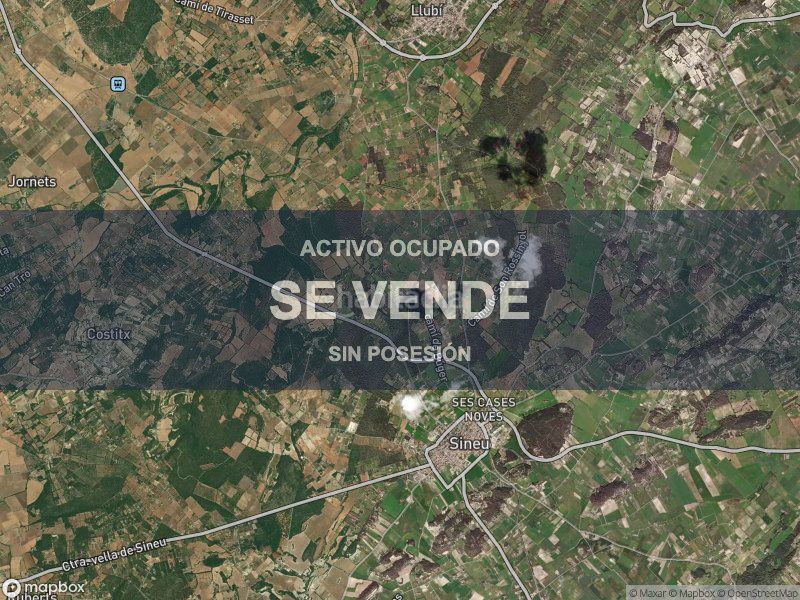 Foto fdfe23de-9ccc-49a1-bfe6-2d6ae627fd77. Pis a Llubí
