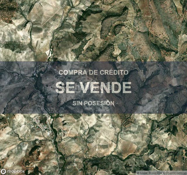 Foto 253430e2-97db-489e-884b-2afcba46cbd4. Pis a Rute