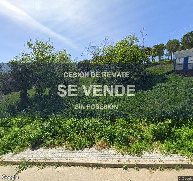 Foto 0256a967-4cbd-4296-aaef-cc7d90b075a3. Pis a Nerva