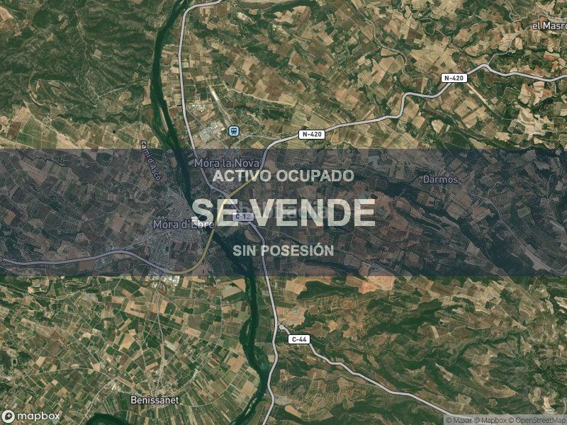 Foto e3e11093-ce4f-478c-bd74-dfbed3e25339. Pis a Móra la Nova