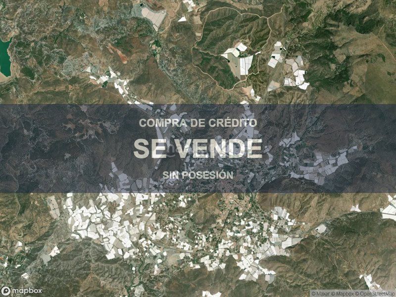 Foto 3ca77e0f-6e7d-4107-aad7-eae68ec6bf96. Pis a Berja