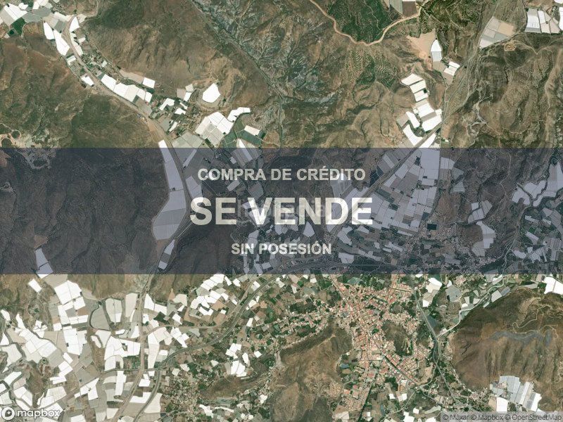 Foto 40608a93-3e09-4556-ad07-8331e75eb782. Pis a Berja