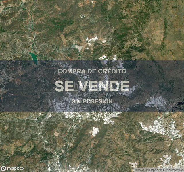 Foto 90e1dfc7-cdb6-41d0-9019-809e13474367. Pis a Berja