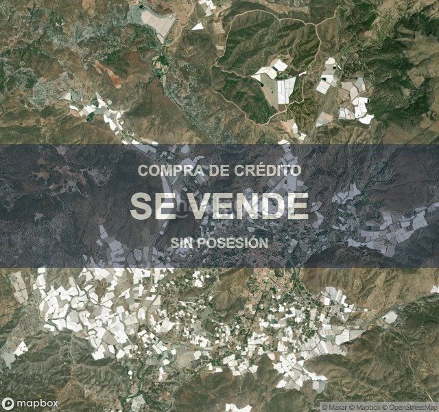 Foto c34ad4c5-c712-4ce1-8db0-112f176db704. Pis a Berja