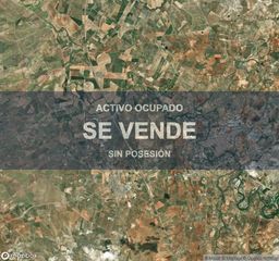 Pis a Herrera. Vivienda  266 m en herrera