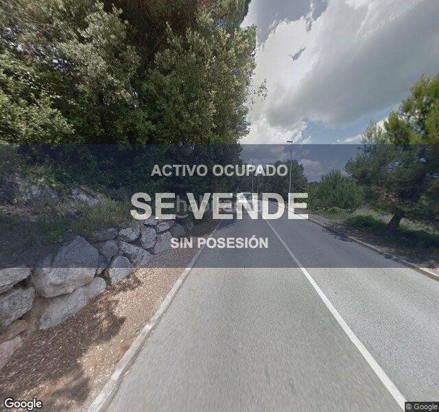 Foto 9fbef8bc-68c9-4221-996c-27e1a388ee8c. Pis a Seva