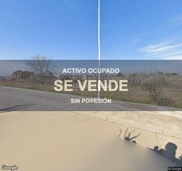 Foto a4cf4782-470e-4f0c-9eaf-602965e8ea91. Pis a Pinseque