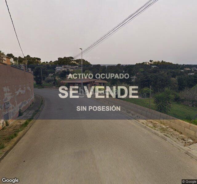 Foto 53501d4b-2f09-4f8d-bea0-a5250a992f60. Pis a Palafolls