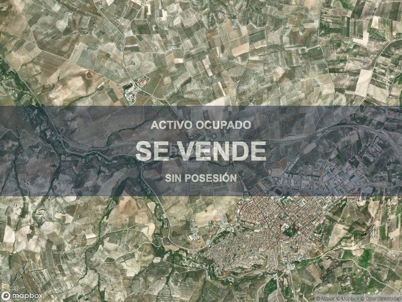 Foto 3ea449cc-b8a2-4ad0-be94-acbc7f163e3d. Pis a Baena