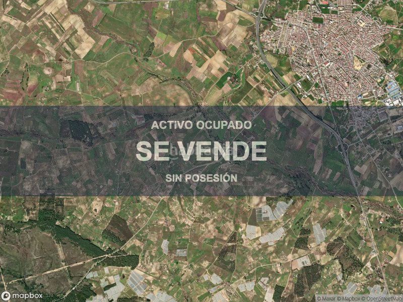 Foto bcc6bd41-9bf7-4f2d-9a6d-14fa3b465074. Pis a Almonte Almonte