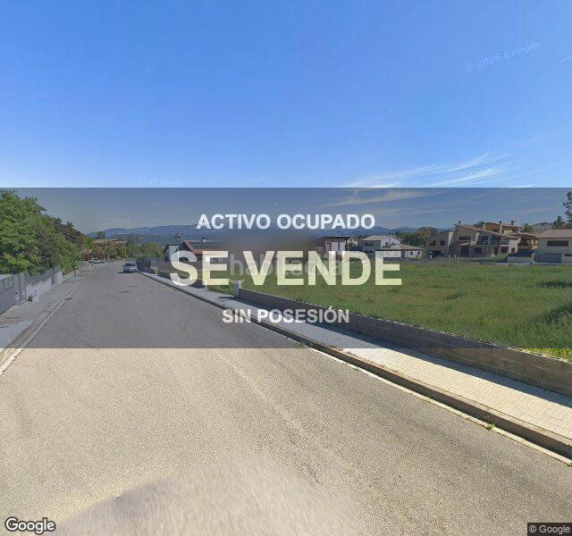 Foto 7e8b204e-1436-4a76-b185-cc167a643c53. Pis a Olius