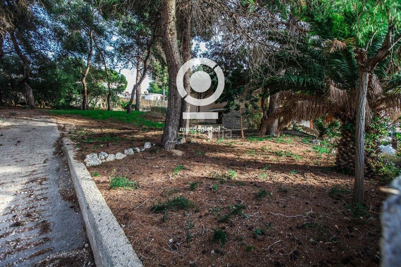 Foto 190ee0af-a32d-415e-a760-c786e09b5e99. Finca rústica a Segur de Calafell nucli urbà Segur de Calafell