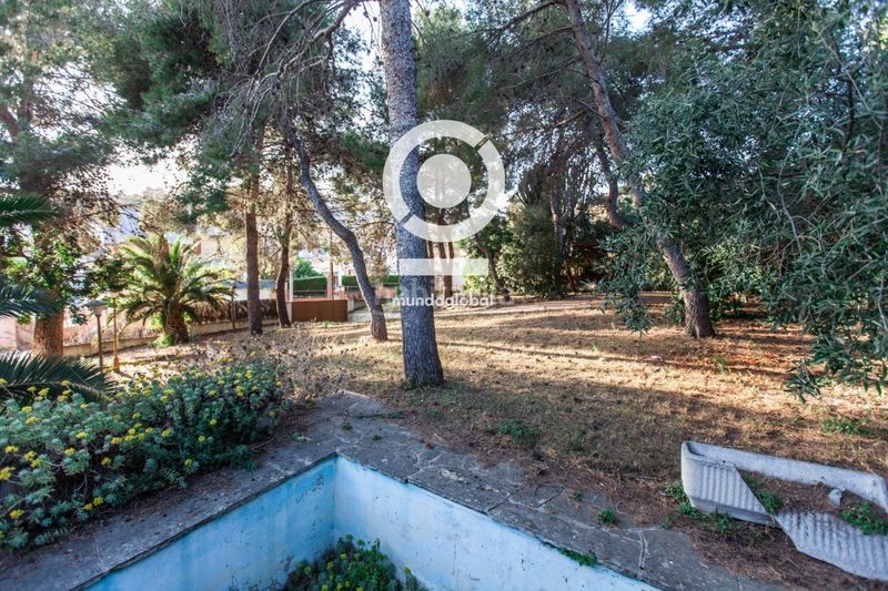 Foto 8d4cbe05-2338-4da6-a9b0-84fcb37eaac7. Finca rústica a Segur de Calafell nucli urbà Segur de Calafell