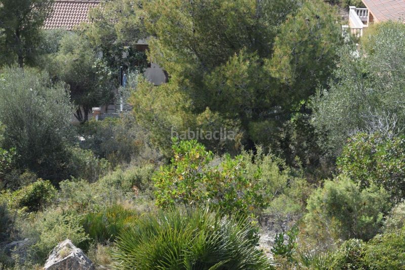 Foto 0d19df62-85f5-47b7-ba42-350be338bea6. Finca rústica a Segur de dalt Segur de Calafell