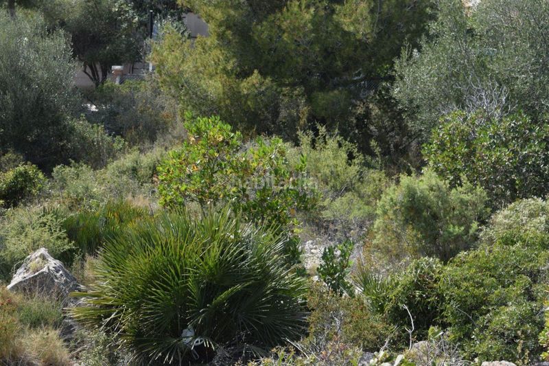 Foto a35896e6-19d9-46c4-8fa8-4aa0f46985ec. Finca rústica a Segur de dalt Segur de Calafell