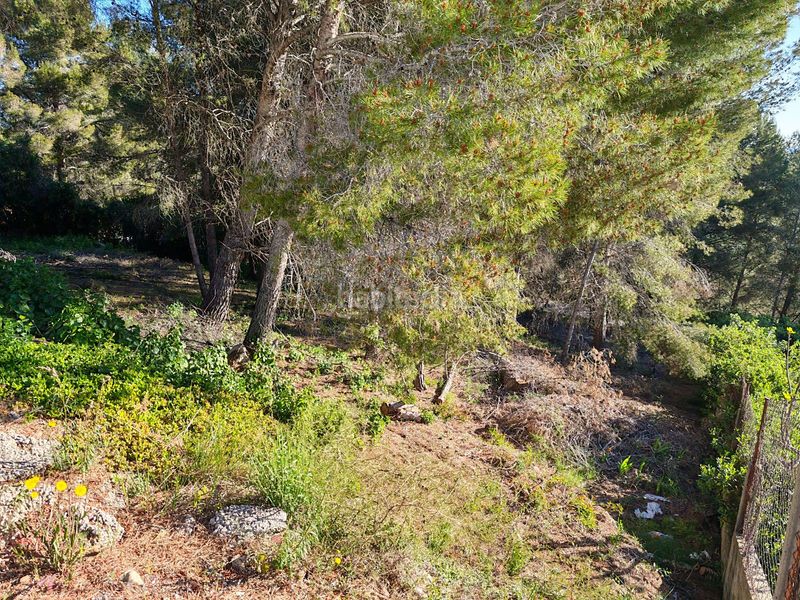 Foto 4305a91e-0ad3-4485-a541-09c7ecc46ec5. Residential plot in Bisbal del Penedès (La)