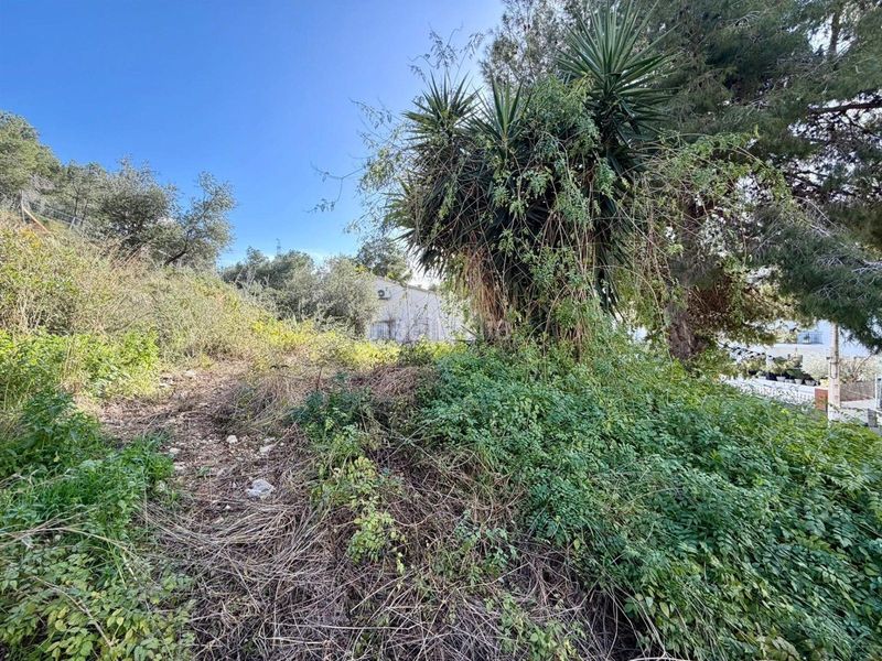 Foto 4adaef98-f47f-4d54-91b5-401be403a9a0. Finca rústica a Segur de dalt Segur de Calafell