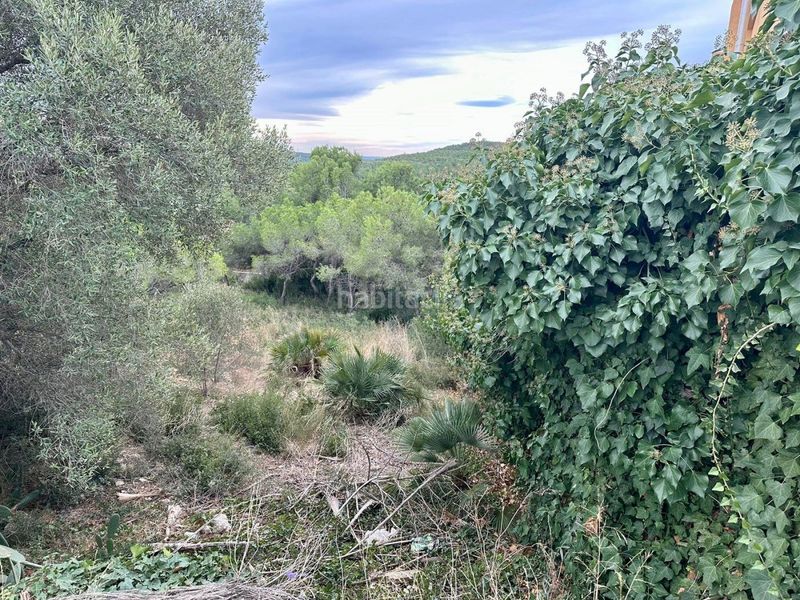 Foto 2c63b973-e368-4879-be17-ebd3ddaa1df0. Finca rústica a Nou Vendrell Vendrell (El)