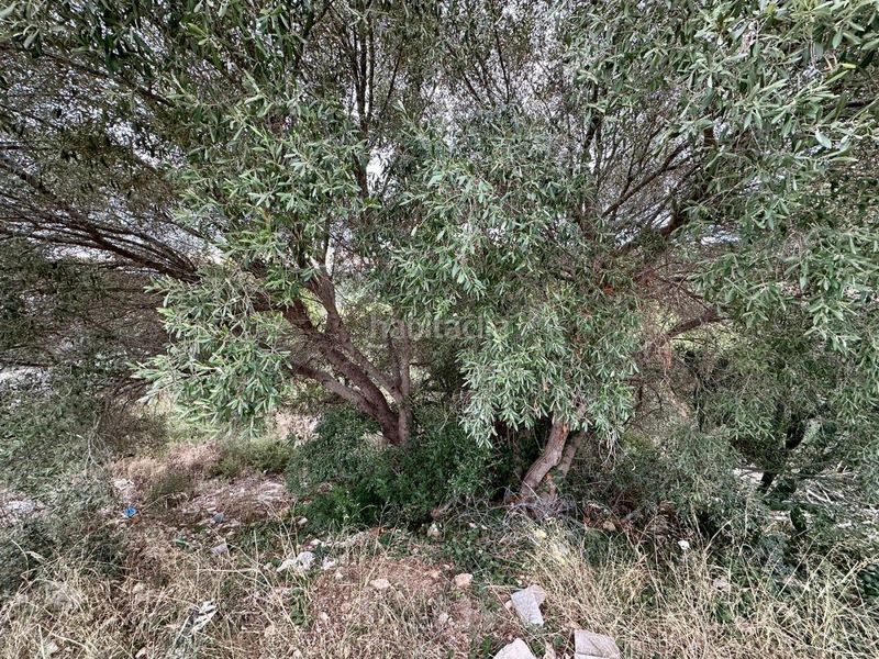 Foto 6ab1ac00-6348-404f-ba5e-5614a28cde0d. Finca rústica a Nou Vendrell Vendrell (El)