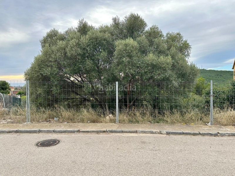 Foto 84fe5132-e271-40b3-a36b-7702377304af. Finca rústica a Nou Vendrell Vendrell (El)