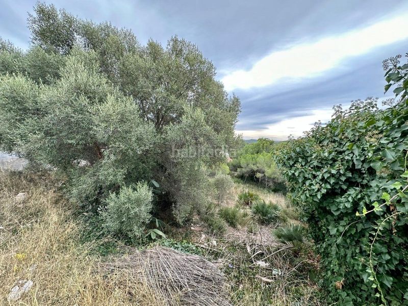 Foto 9a16aecd-ac0f-4805-b062-8ef4cf946f13. Finca rústica a Nou Vendrell Vendrell (El)