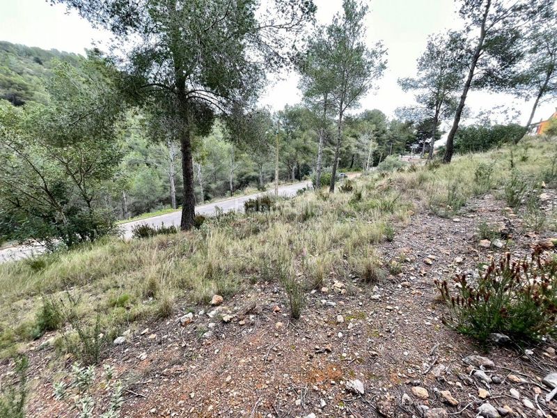 Foto eb501241-b935-46e6-a29f-9bb6629d6483. Finca rústica a Bisbal del Penedès (La)