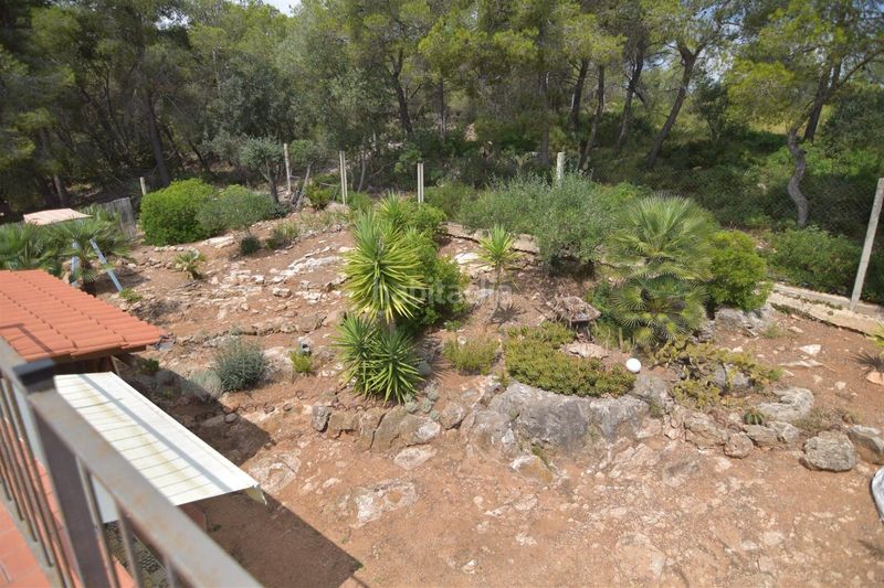 Foto c92615dd-0295-4003-9ce6-ec931b3e0c2c. Casa amb piscina a Montmell (El)