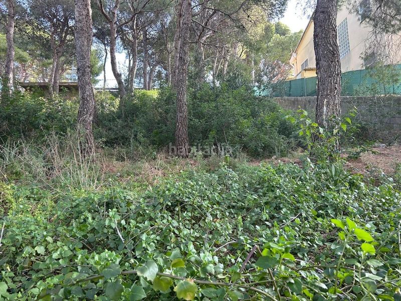 Foto 1614378e-aaf1-499d-91e9-a4422beb50f2. Finca rústica a Segur de Calafell nucli urbà Segur de Calafell