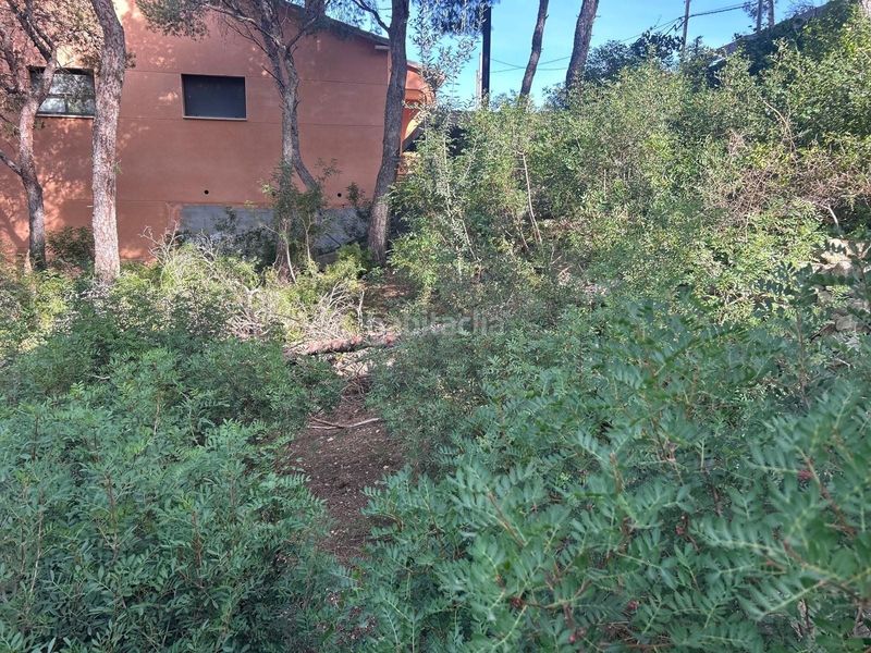 Foto 74e4979a-33d2-4e0b-8aac-e12675a97cef. Finca rústica a Segur de Calafell nucli urbà Segur de Calafell