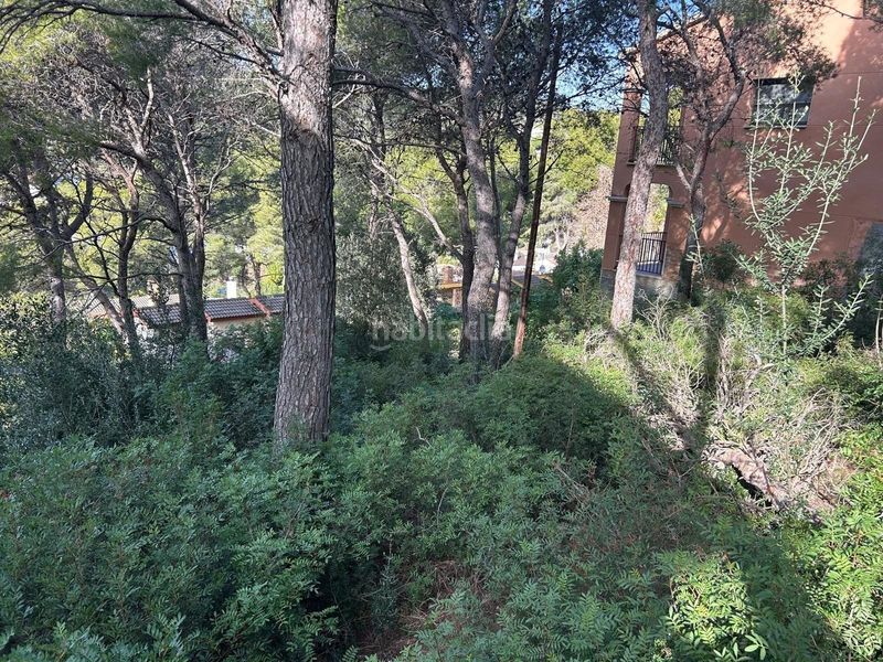 Foto c165dd2e-c8af-4f95-b3d9-39a3b4de6e7d. Finca rústica a Segur de Calafell nucli urbà Segur de Calafell