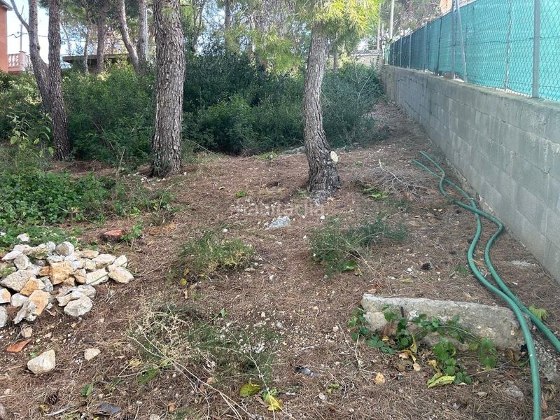 Foto de1f29ae-165e-48a6-9e92-3308455bf859. Finca rústica a Segur de Calafell nucli urbà Segur de Calafell