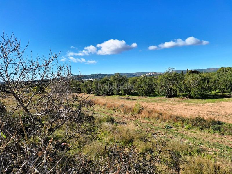 Foto c06a3ec1-3884-46c9-8d55-962b0cea42ba. Xalet a La Franquesa-Oasis Park Vendrell (El)