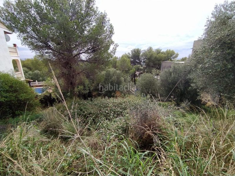 Foto 4610fa70-c004-4093-9021-dd2c1c661f34. Finca rústica a Segur de Calafell nucli urbà Segur de Calafell