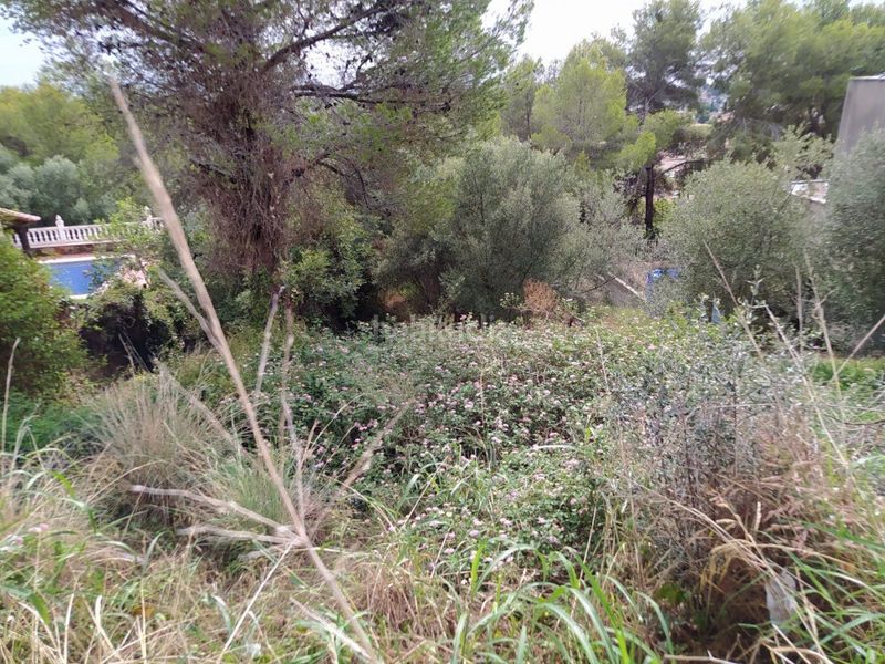 Foto ba780aa2-9250-422d-b1da-1fbc861a1710. Finca rústica a Segur de Calafell nucli urbà Segur de Calafell