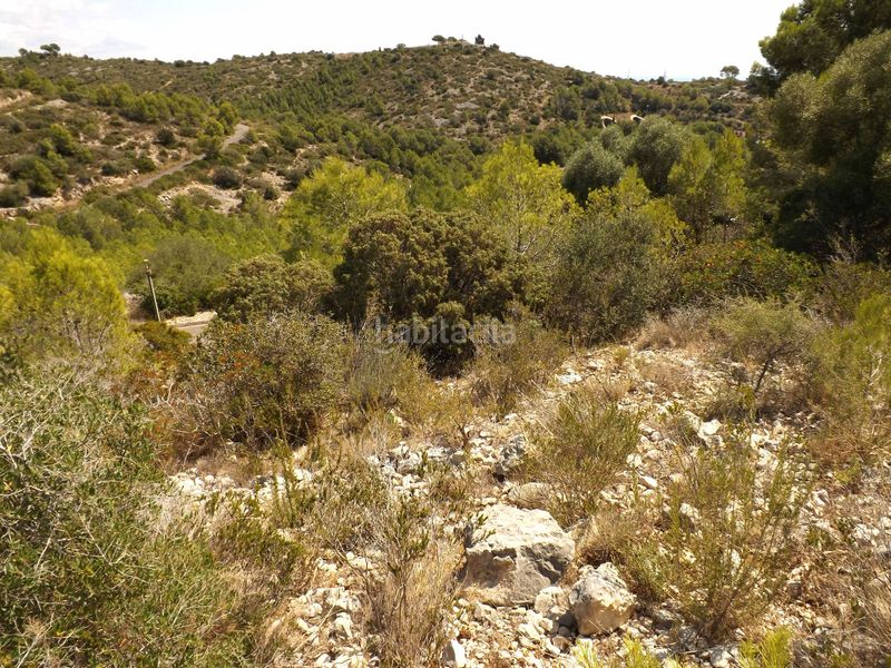 Foto 22e5df0b-dc1c-4d95-8d82-c33ece0f3d66. Finca rústica a Segur de dalt Segur de Calafell