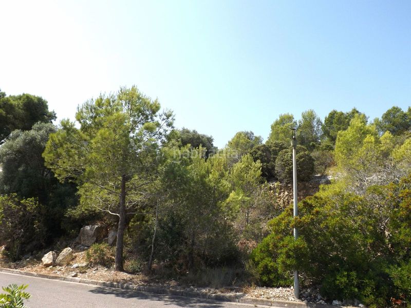 Foto 49073e6f-94c9-4dda-8435-4ecb5a876073. Finca rústica a Segur de dalt Segur de Calafell