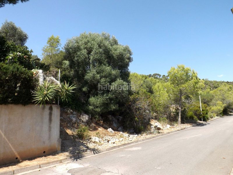 Foto 5453a353-1905-40b2-bbb4-4e4aa28478ea. Finca rústica a Segur de dalt Segur de Calafell