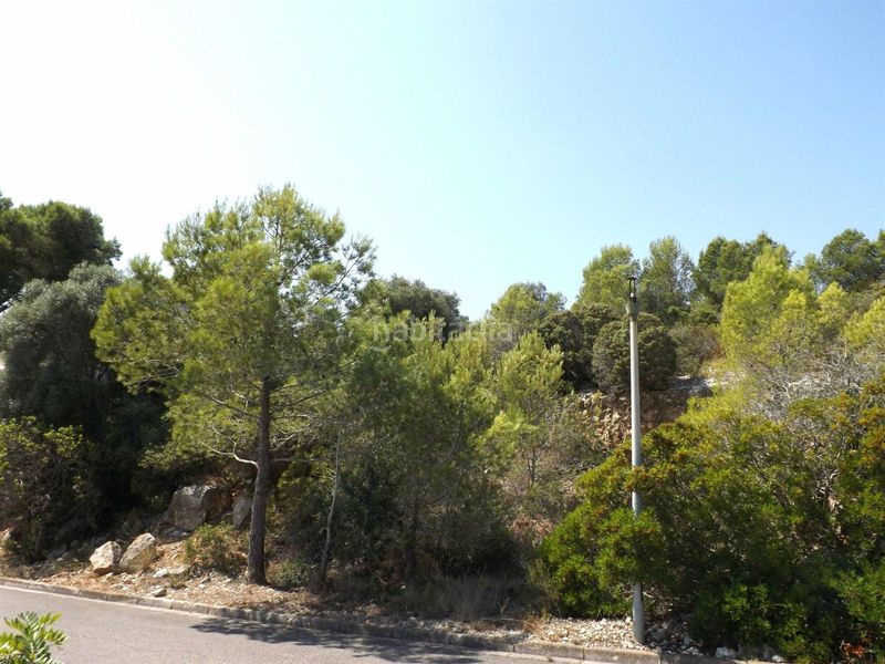 Foto 7f4e9c7d-9d04-49c8-abcb-f9d335c73af2. Finca rústica a Segur de dalt Segur de Calafell