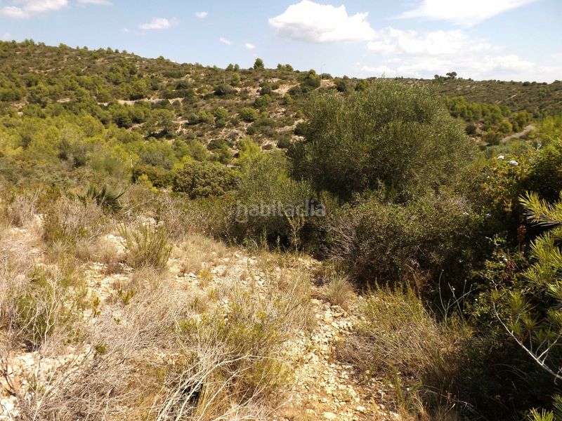 Foto d1f17733-ad13-45a6-b3ee-370258d692ca. Finca rústica a Segur de dalt Segur de Calafell