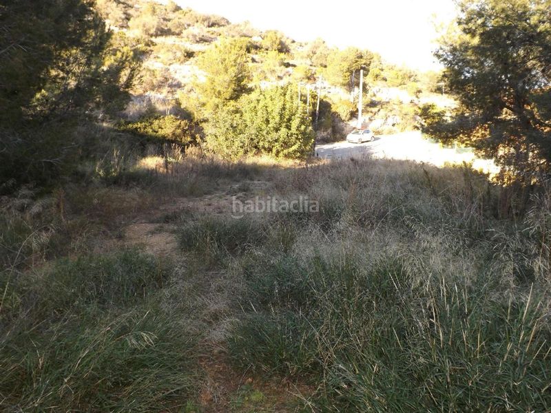 Foto 97eaffb4-0d85-4ae8-bb67-db5db6f53850. Finca rústica a Segur de Calafell nucli urbà Segur de Calafell