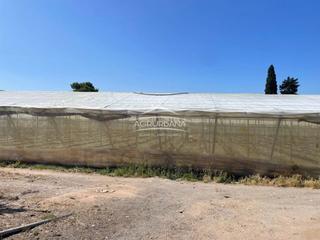 Finca rústica a Motril  ciudad. Finca en venta.