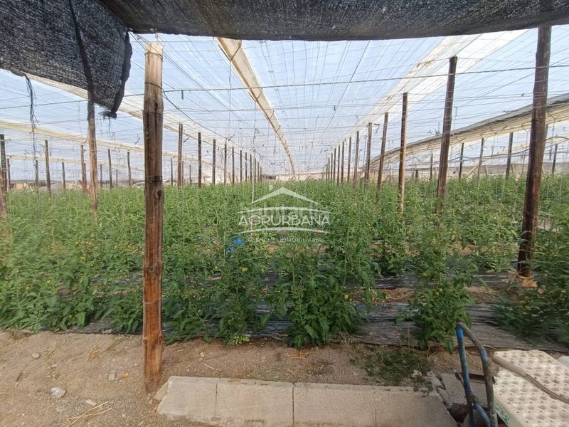 Foto a2f7eec0-138b-4e04-9ef6-352d30a52c55. Finca rústica a Motril ciudad Motril