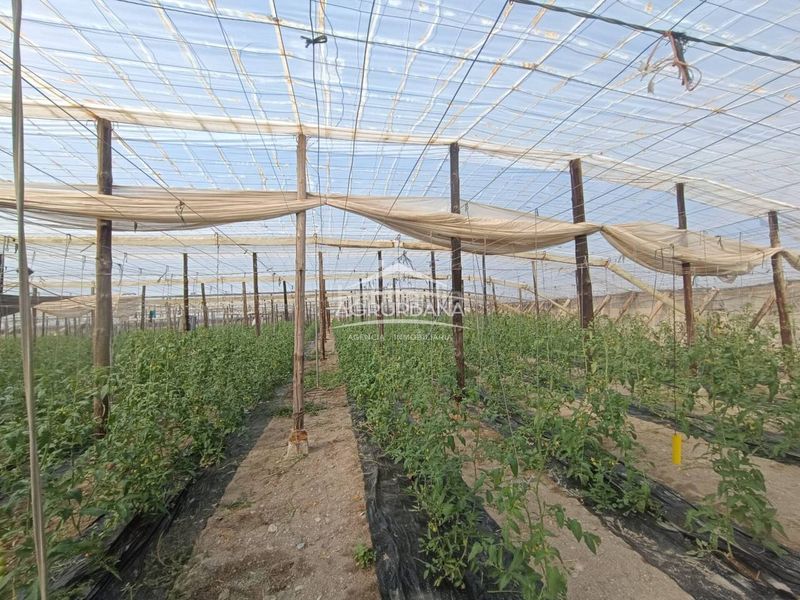 Foto cad974fd-ad87-4c56-a7bd-4b595c8a4b88. Finca rústica a Motril ciudad Motril