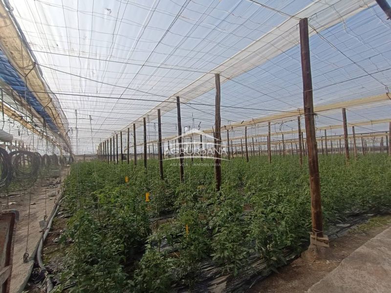 Foto ce12070b-8f48-4905-b5d6-1a5f53abbd78. Finca rústica a Motril ciudad Motril