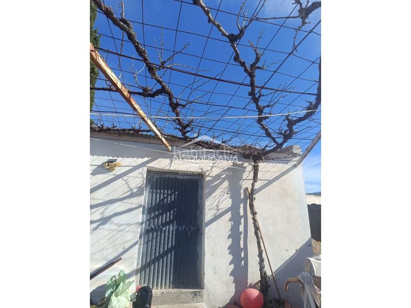 Foto da1dcbdb-3eb2-4369-8807-d904993ca160. Finca rústica a Motril ciudad Motril