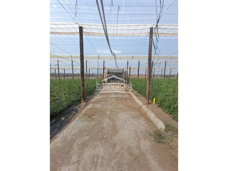 Foto ff2cf9f8-f2a3-42f2-b782-0536b6ac805b. Finca rústica a Motril ciudad Motril